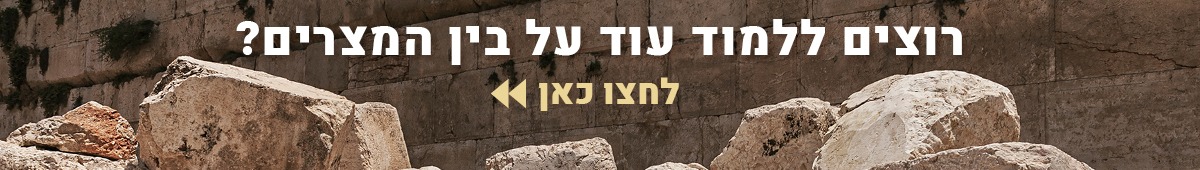 בין המצרים