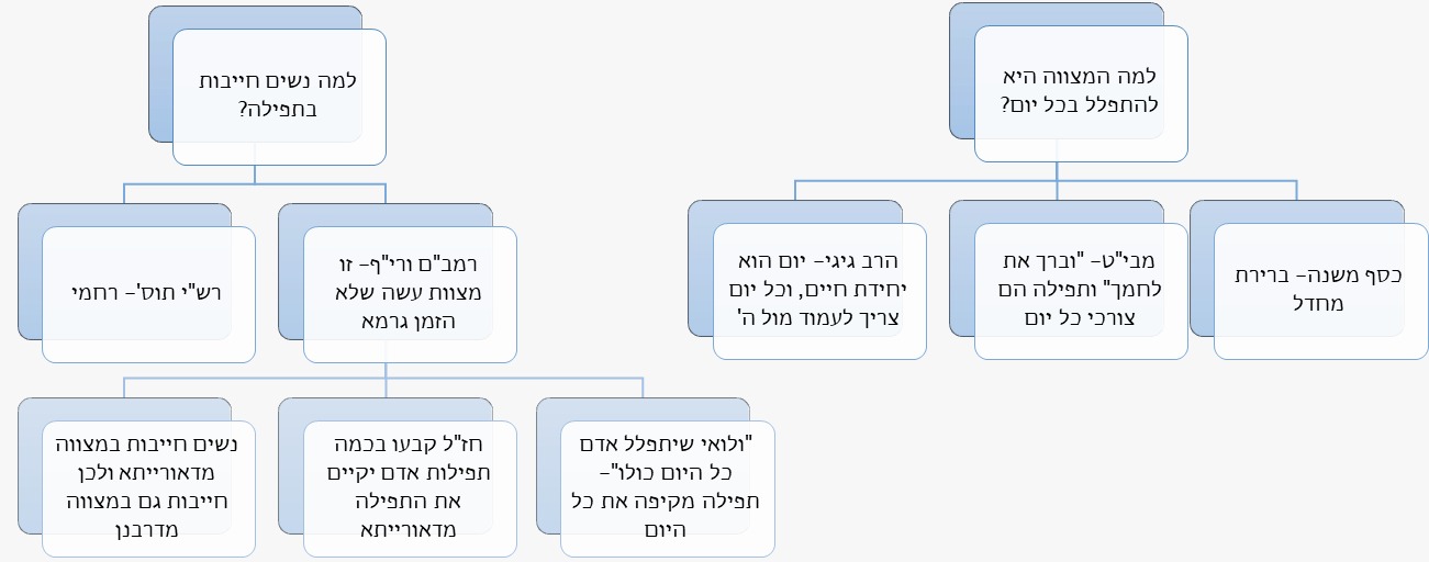 תרשים חובת תפילה לנשים